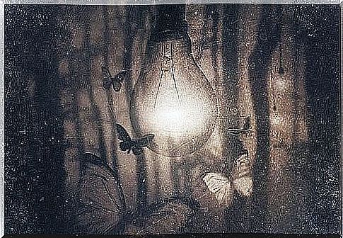 light bulb lit at night and butterflies