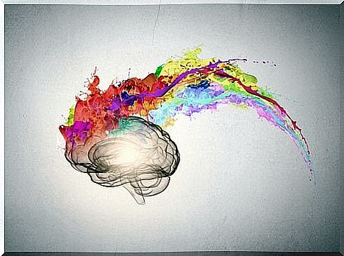 The colors of the brain