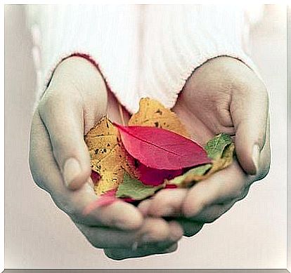 female-hands-with-leaves