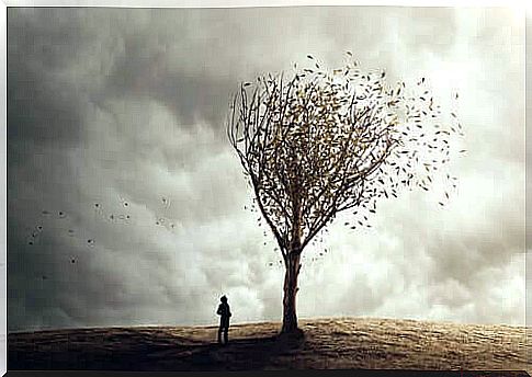 Man looking at a tree