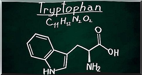 Chemical formula of Tryptophan