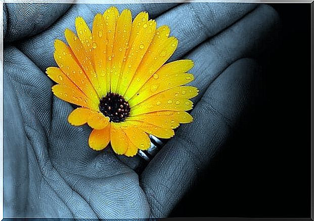 Hand with flower