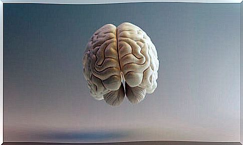 Representation of the brain