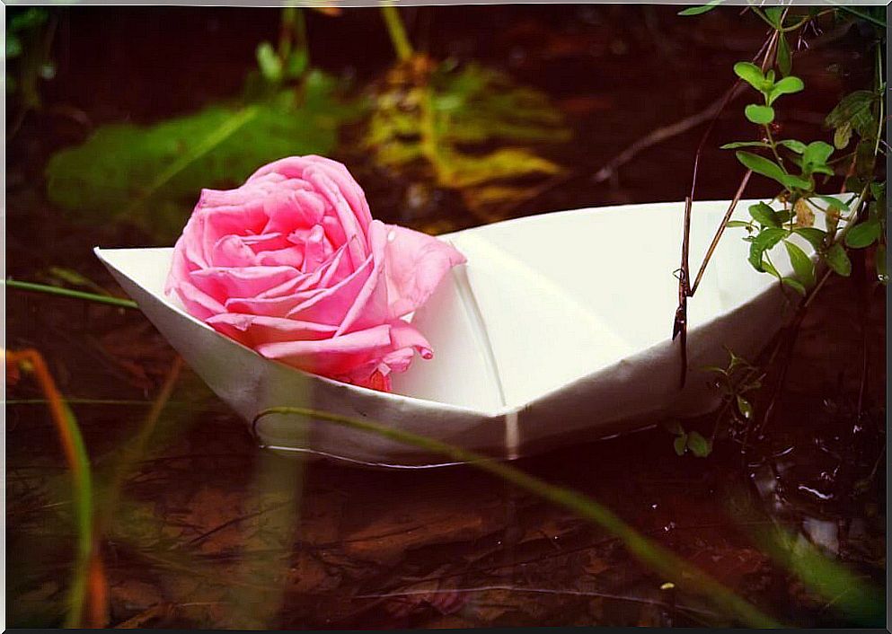 pink-on-paper-boat