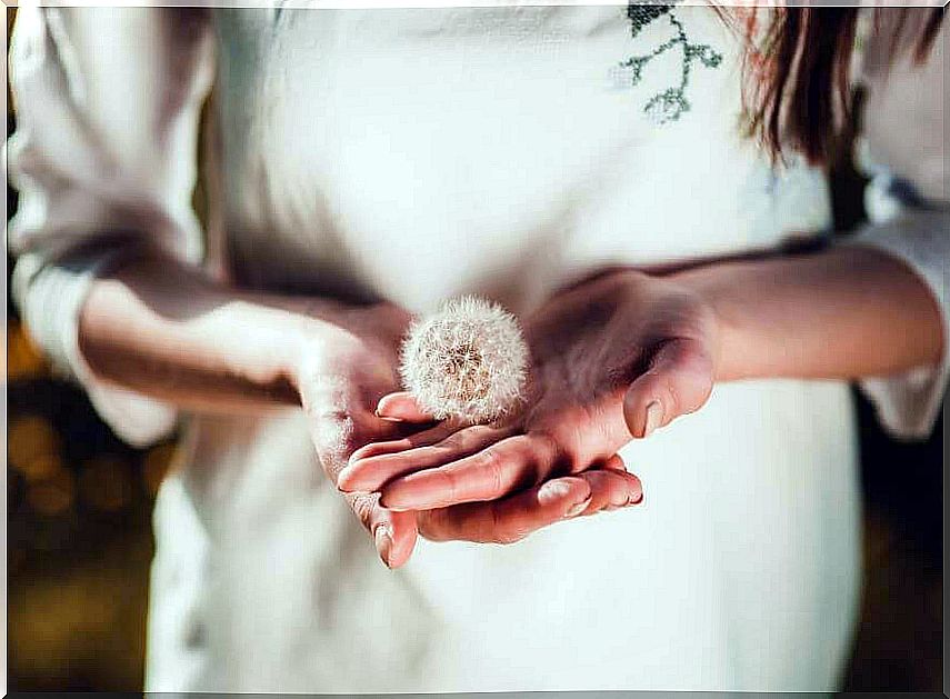 shower-head-in-the-hands-of-a-woman