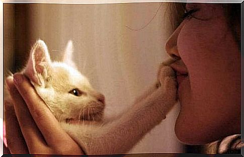 Woman with white cat