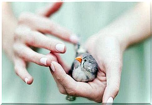 Woman with bird in her hands