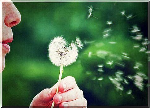 woman blows on dandelion