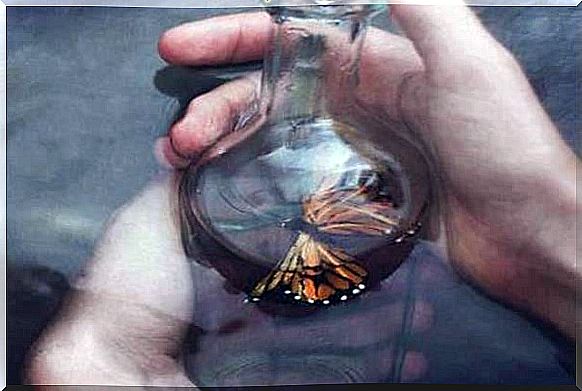 butterfly-inside-a-glass-bottle indifference