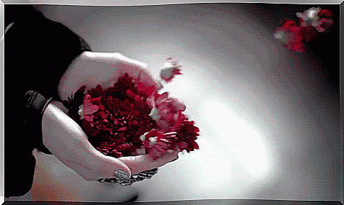 gif-flowers