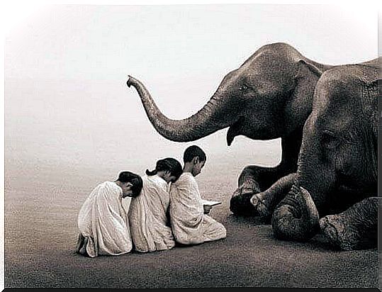 children-and-elephant