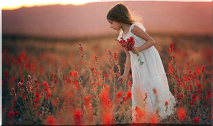 scars little girl picks red flowers in a field