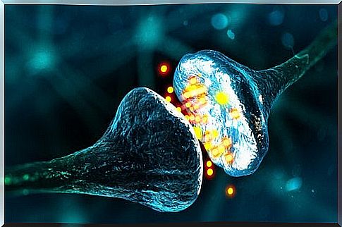 Communication between the different types of synapses