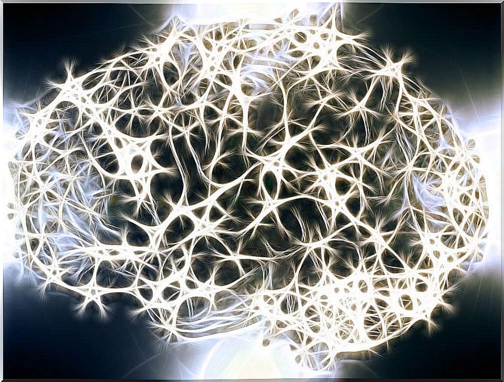 White substance of the nervous system: why is it so important?